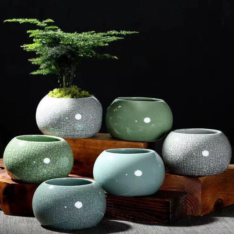 Pilea Peperomioides - Creative Handmade Geyao Ice Crack Round