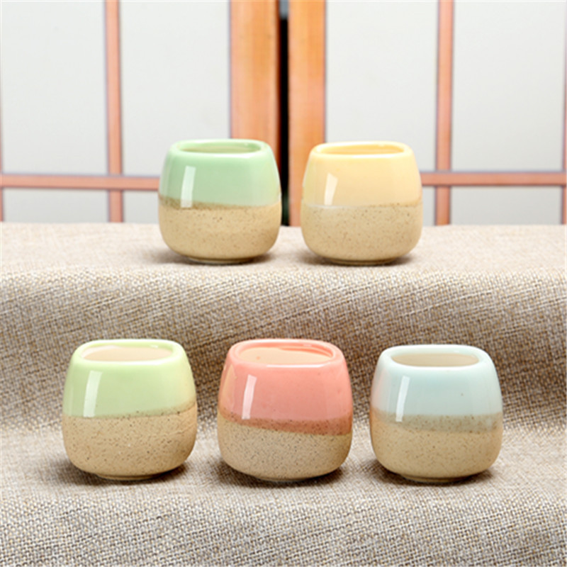 Echeveria Succulent - Mini Jelly Shape Cartoon Ceramic Succulent