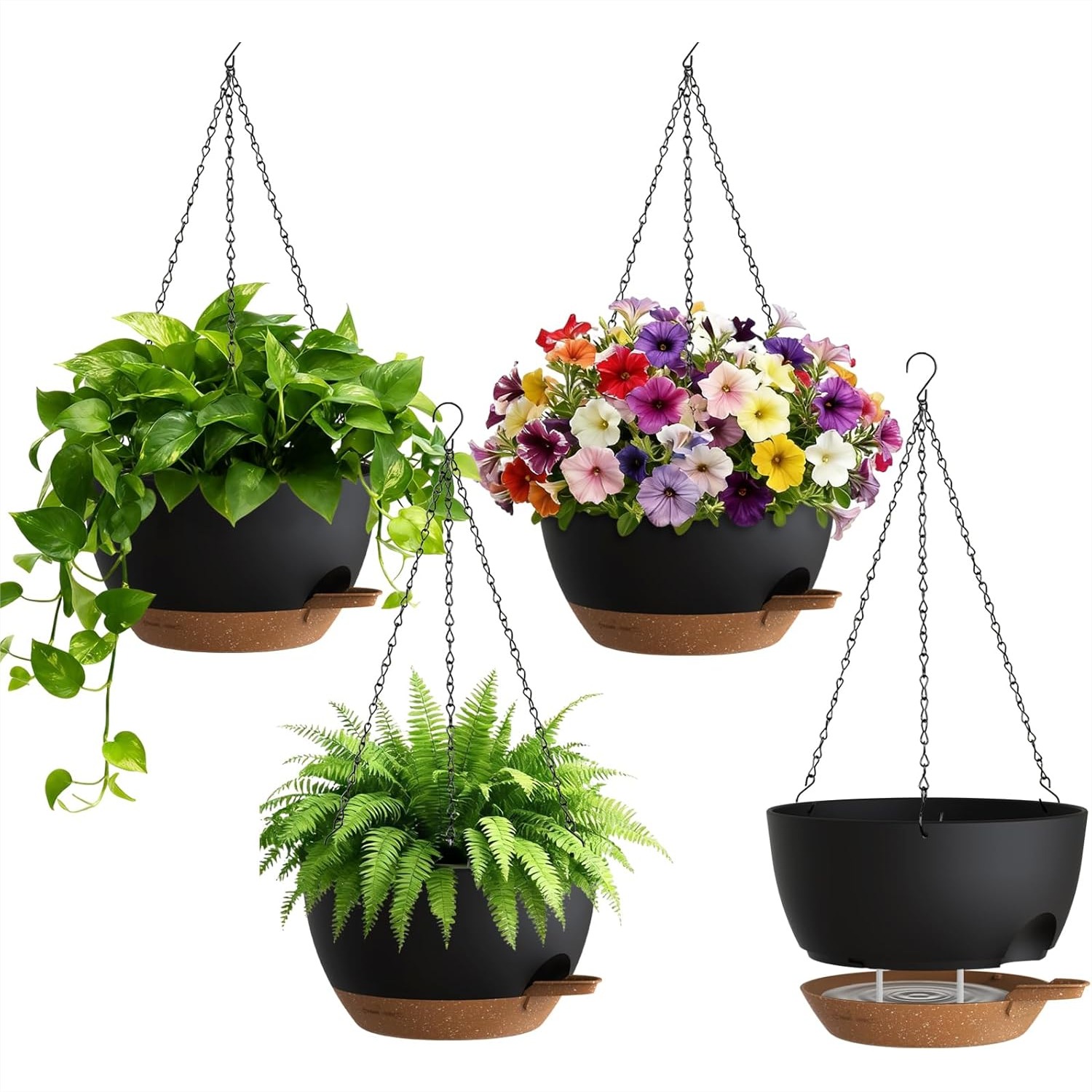 Spider Plant Hanging - Self Watering Hanging Planters 8 Inch