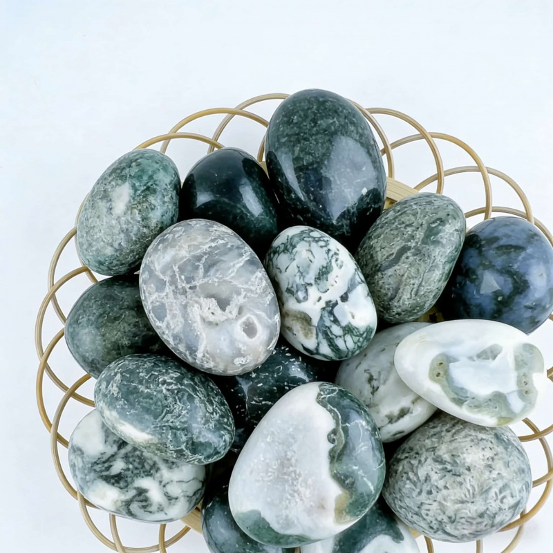 Natural Moss Agate Crushed Sto - Echeveria Succulent ulasan dan harga