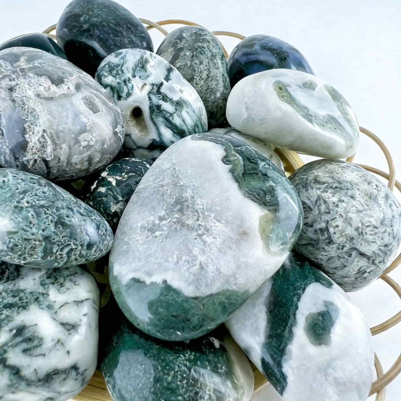 Natural Moss Agate Crushed Sto - Echeveria Succulent ulasan dan harga