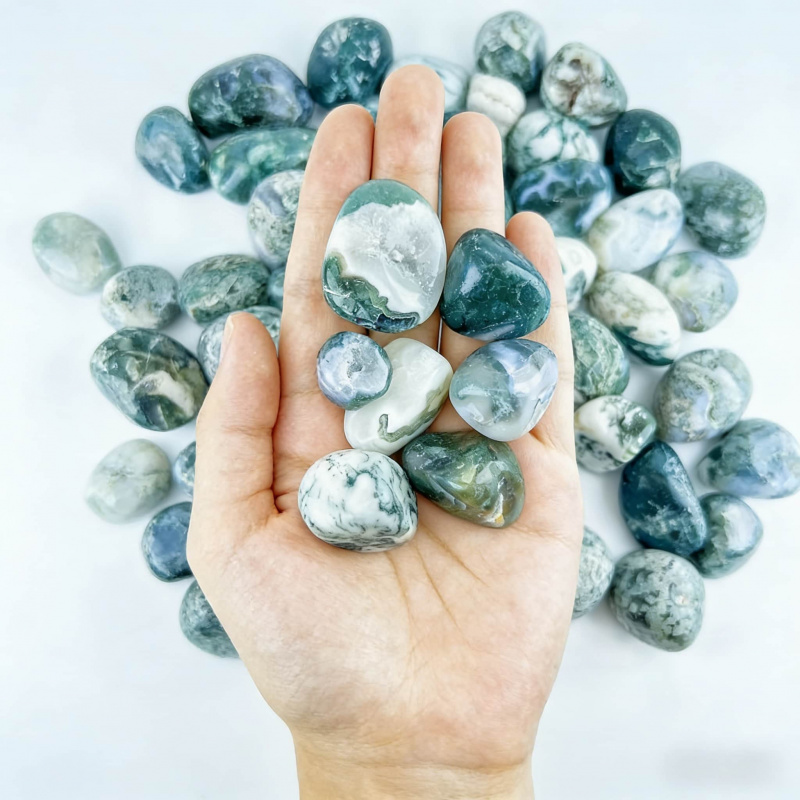 Natural Moss Agate Crushed Sto - Echeveria Succulent ulasan dan harga