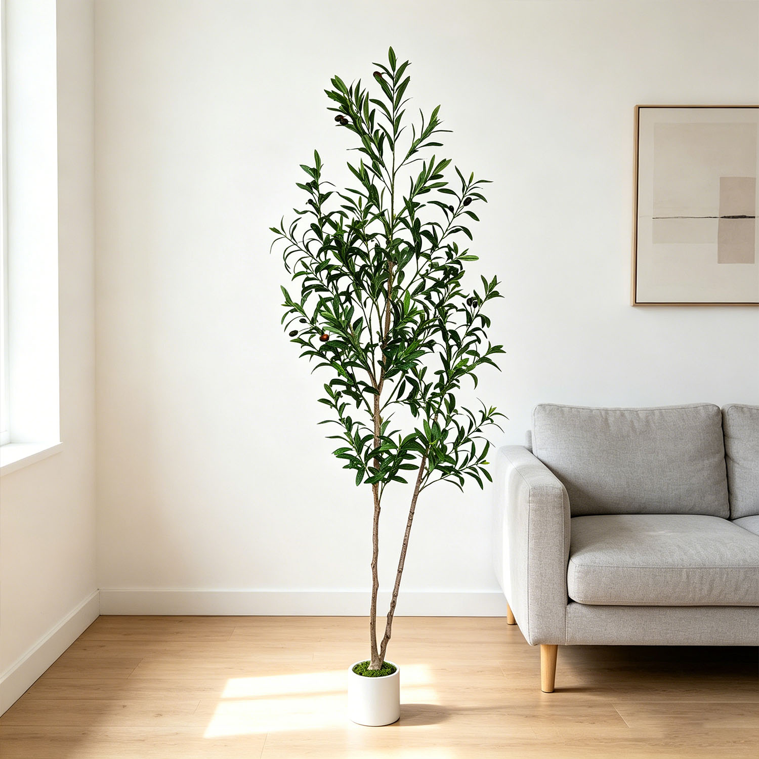145Cm-175Cm/5.7Ft Artificial O - Dracaena Marginata ulasan dan harga