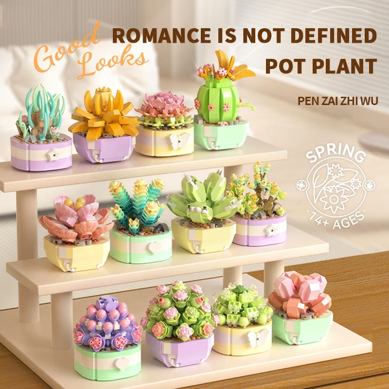 Flower Succulents Building Blo - Echeveria Succulent ulasan dan harga