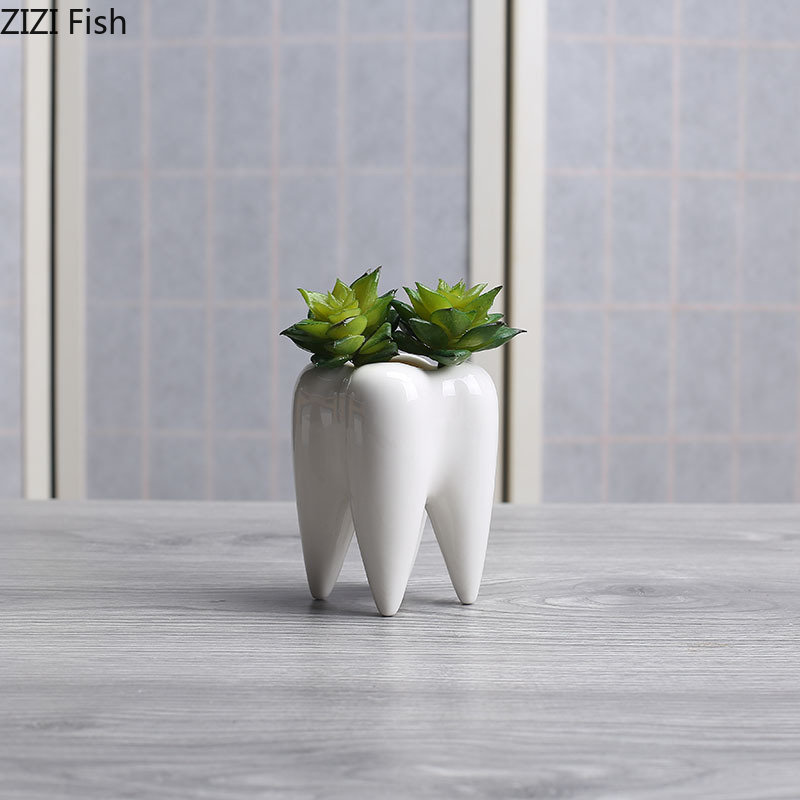 Tooth Shaped Ceramic Flower Po - Echeveria Succulent ulasan dan harga