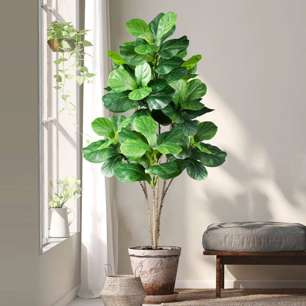 70-135cm Large Artificial Fidd - Ficus Lyrata Tree ulasan dan harga