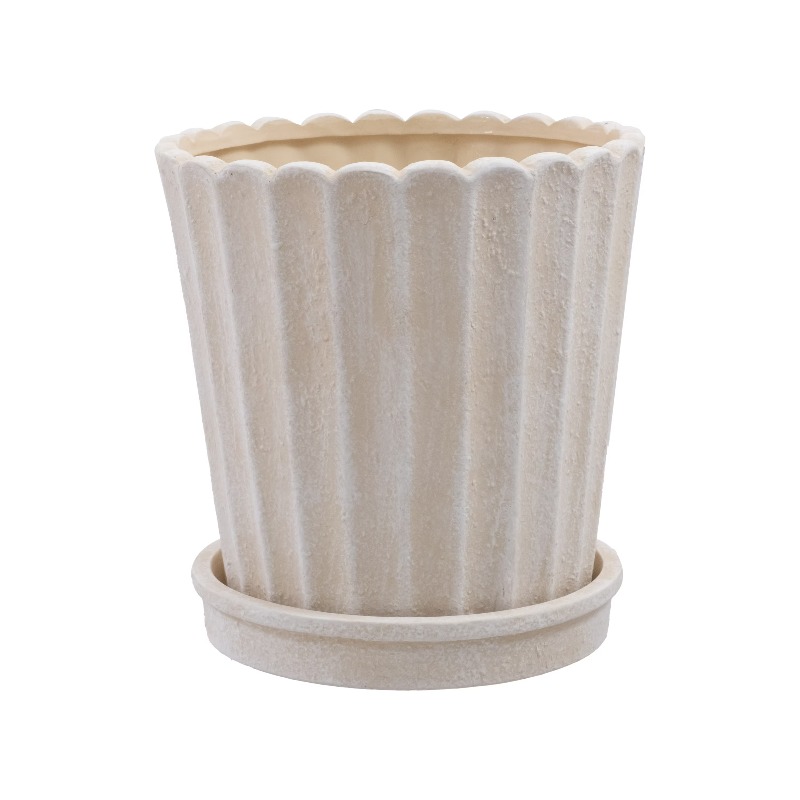 8 Inch Shell Planter Cream Cer - Aloe Vera Pot ulasan dan harga