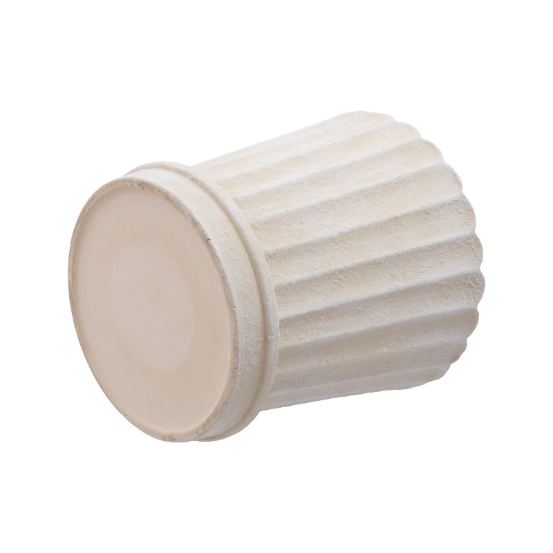 8 Inch Shell Planter Cream Cer - Aloe Vera Pot ulasan dan harga