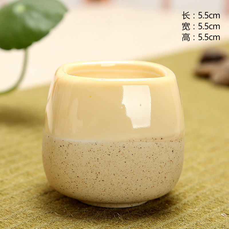Mini Jelly Shape Cartoon Ceram - Echeveria Succulent ulasan dan harga