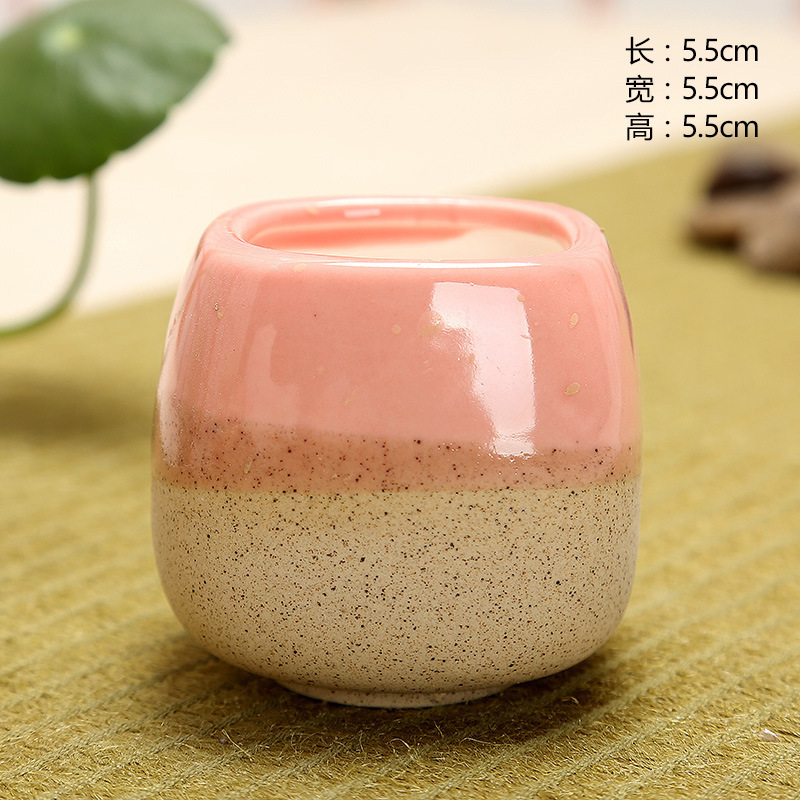 Mini Jelly Shape Cartoon Ceram - Echeveria Succulent ulasan dan harga