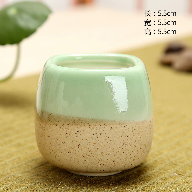 Mini Jelly Shape Cartoon Ceram - Echeveria Succulent ulasan dan harga