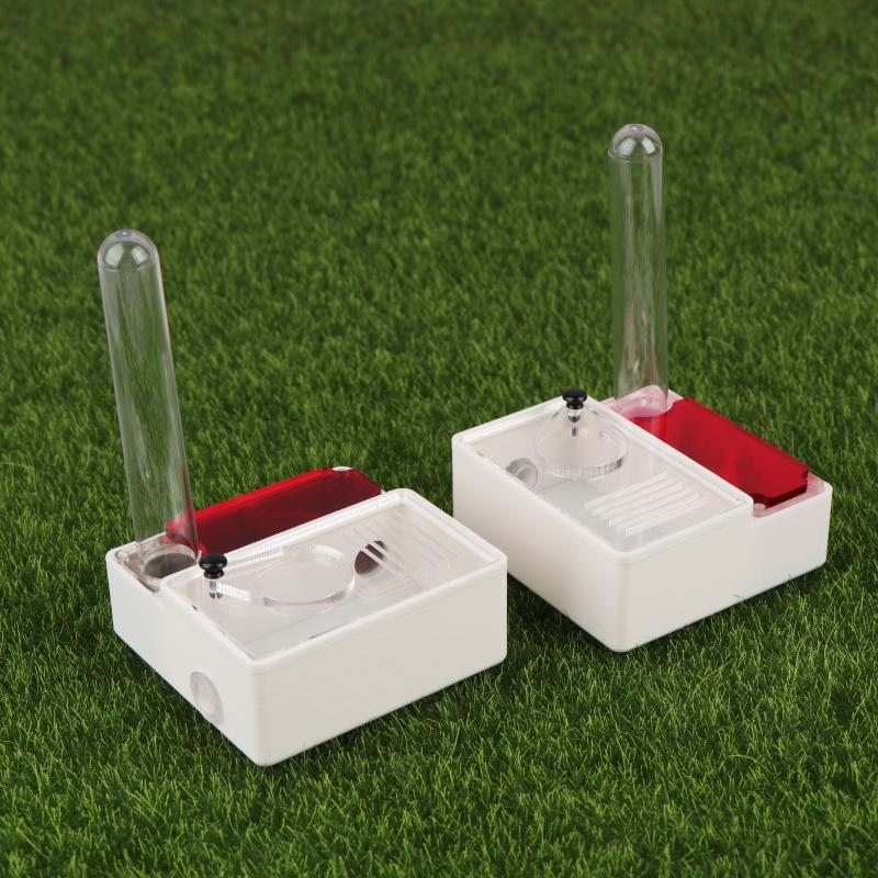 【Peace】3D Printed Ant Farm Que - Begonia Rex ulasan dan harga