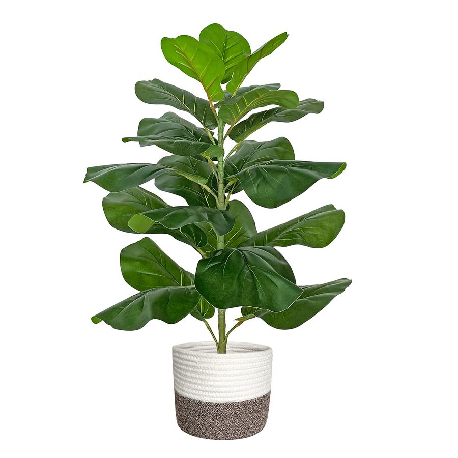 Artificial Fiddle Leaf Fig Tre - Ficus Lyrata Tree ulasan dan harga