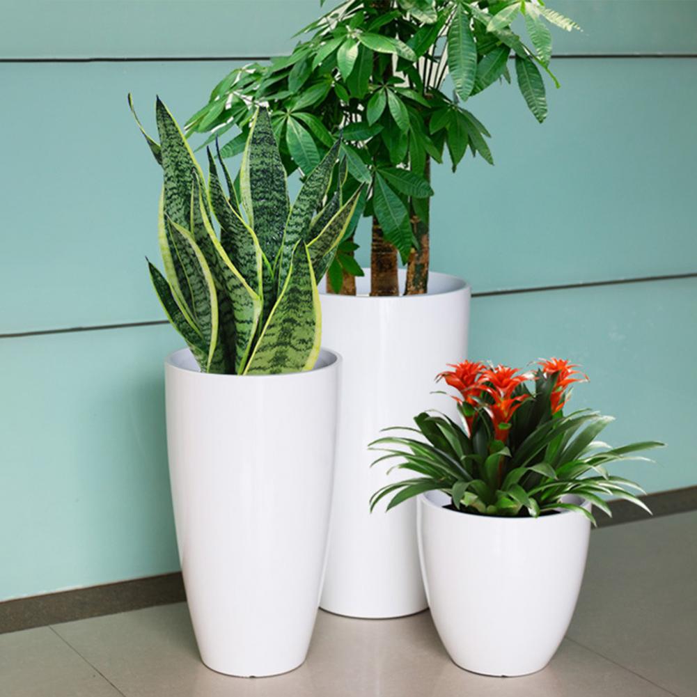 28cm Height Deep Flower Pot Im - Aloe Vera Pot ulasan dan harga