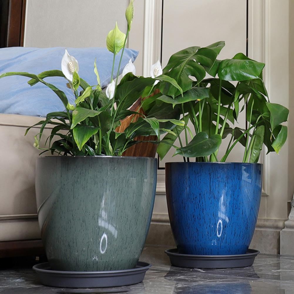 28cm Height Deep Flower Pot Im - Aloe Vera Pot ulasan dan harga