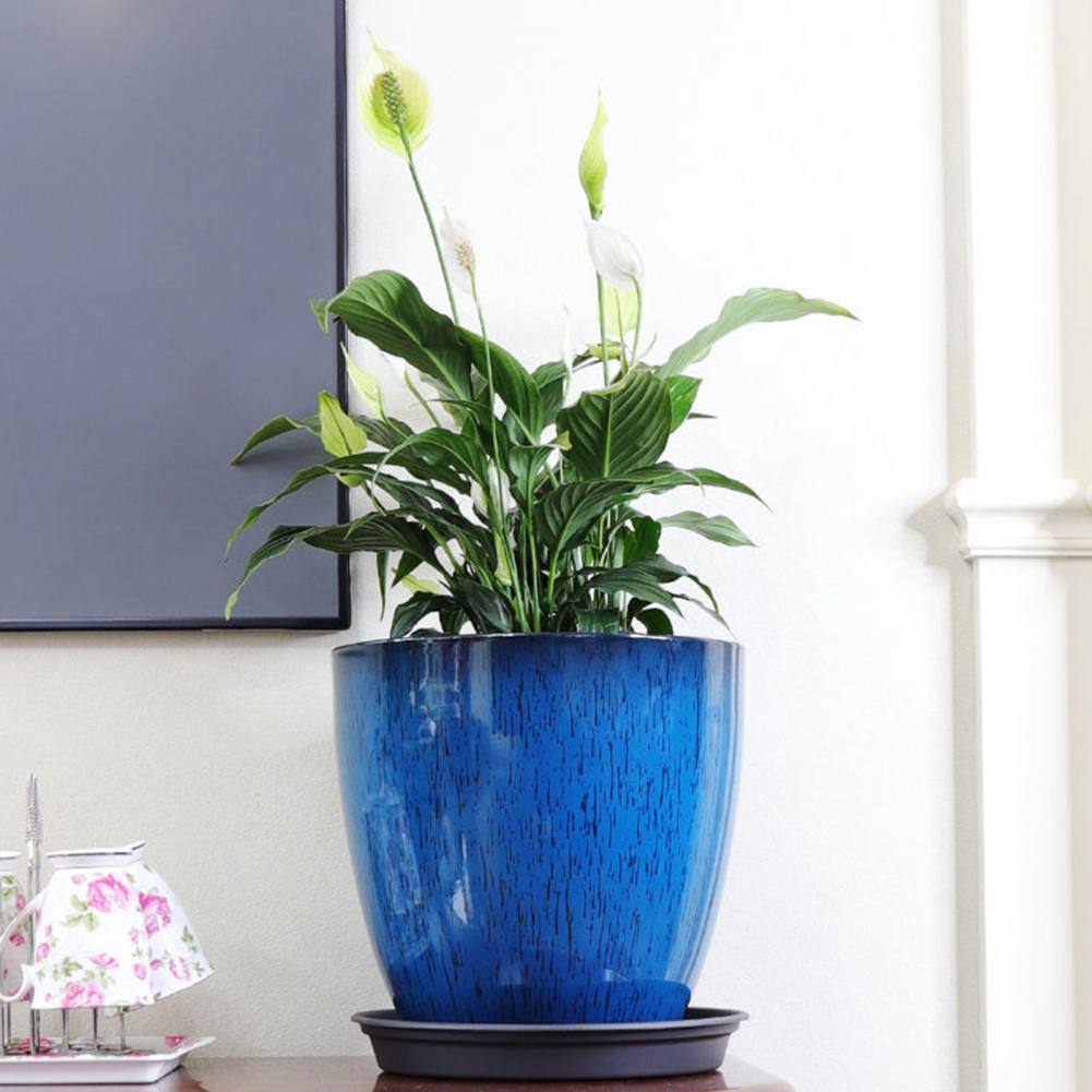 28cm Height Deep Flower Pot Im - Aloe Vera Pot ulasan dan harga