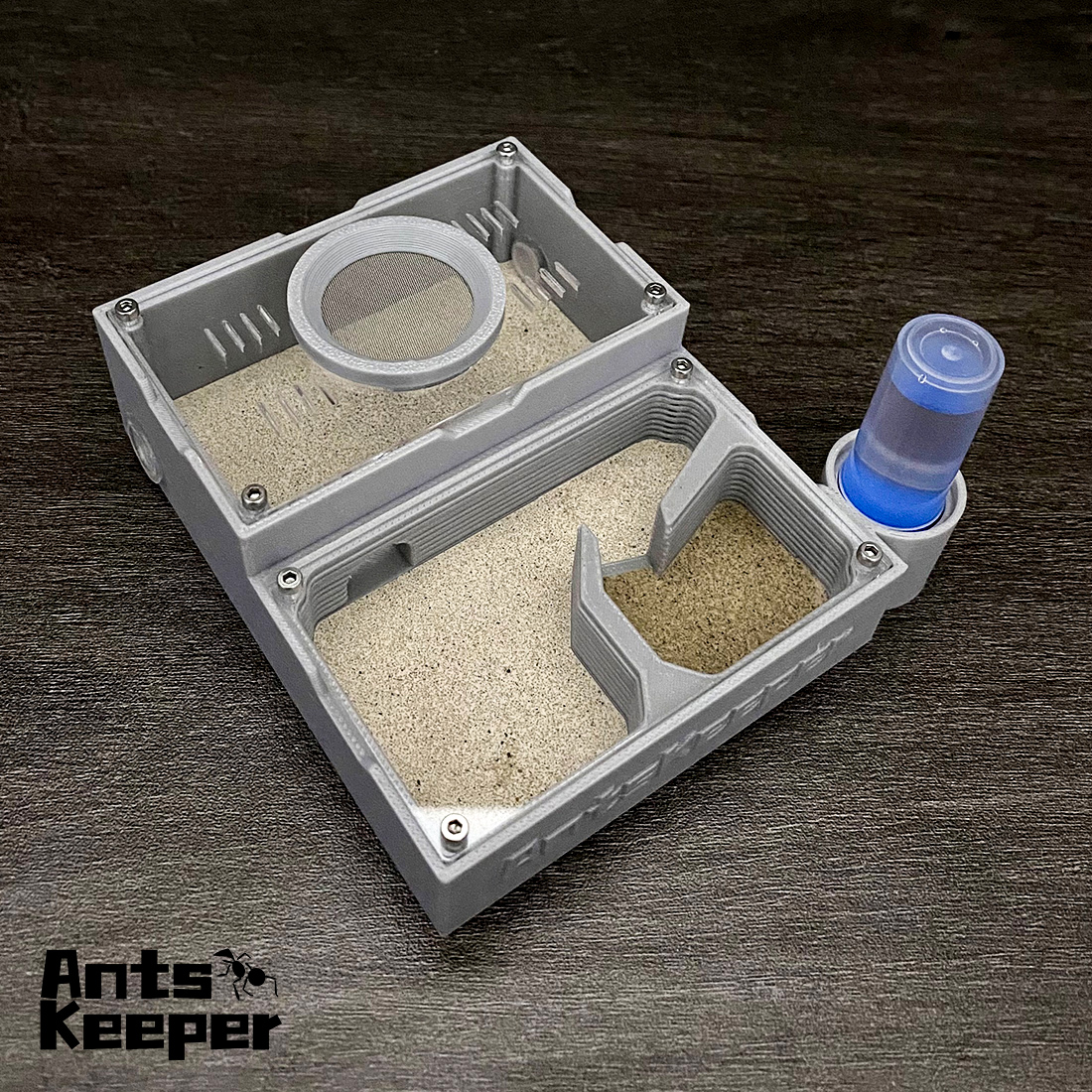 【One Section】Flat Ant Farm for - Begonia Rex ulasan dan harga