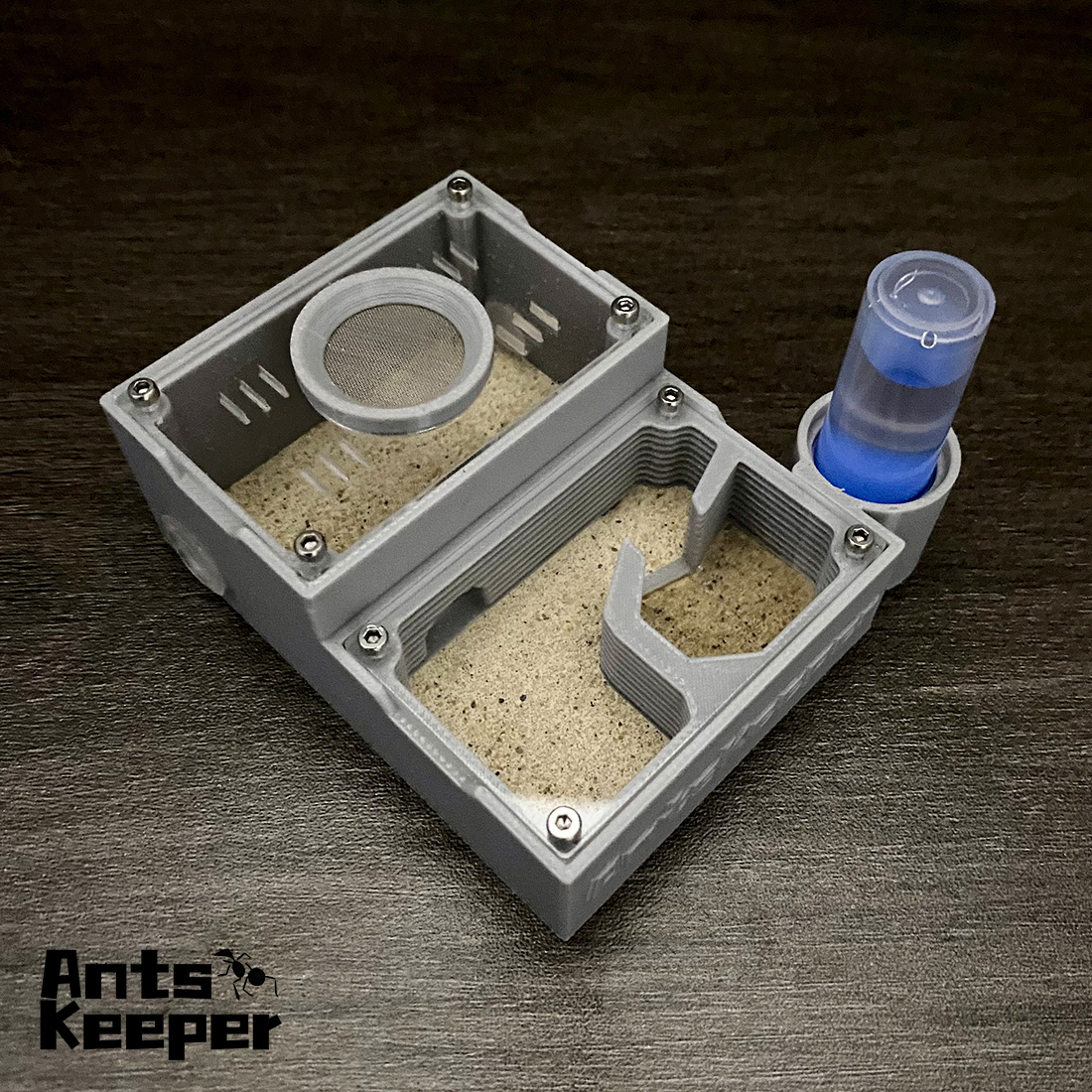 【One Section】Flat Ant Farm for - Begonia Rex ulasan dan harga
