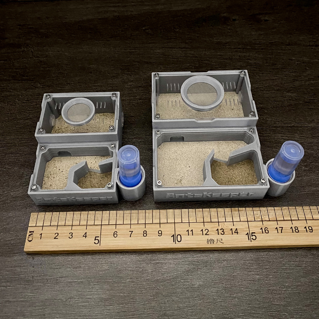 【One Section】Flat Ant Farm for - Begonia Rex ulasan dan harga
