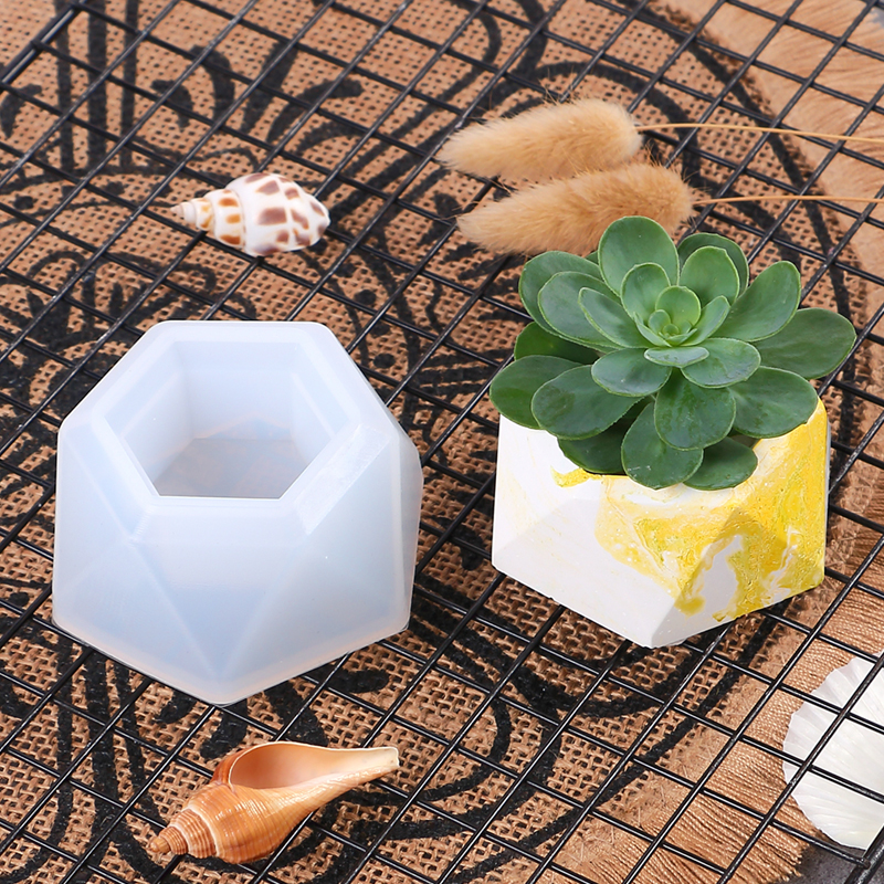 Succulent Flowerpot Silicone M - Echeveria Succulent ulasan dan harga