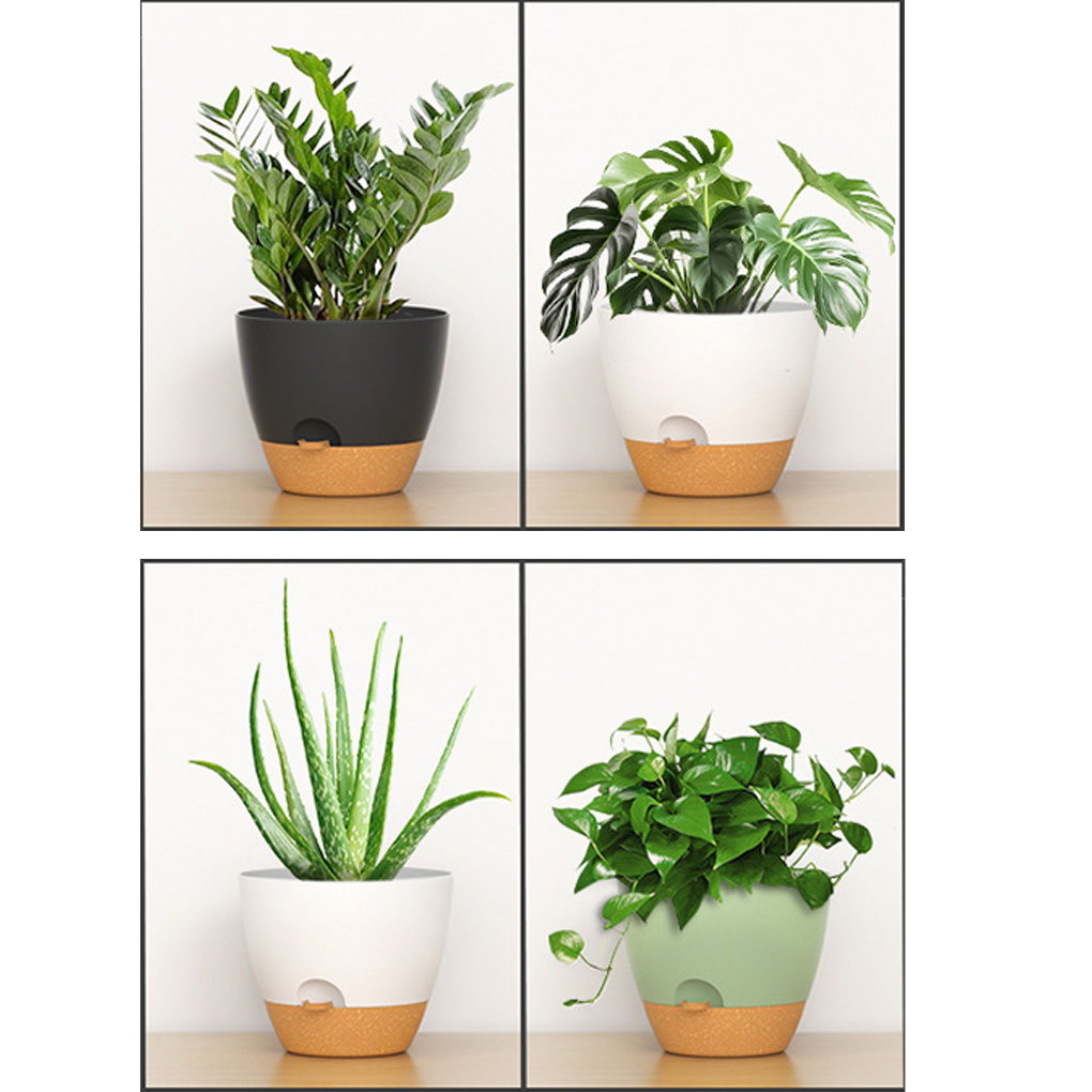 5piece Indoor Flower Pots With - Aloe Vera Pot ulasan dan harga