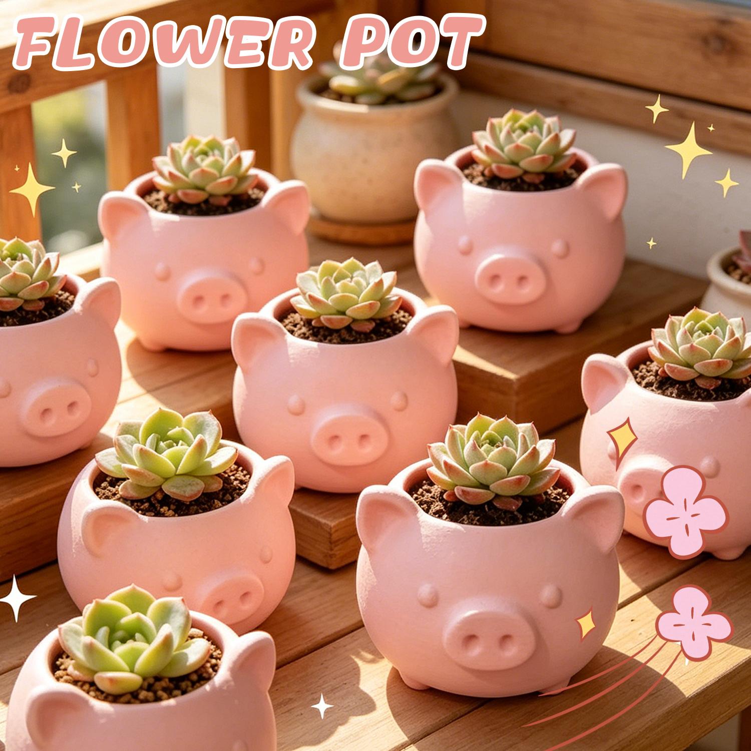 10/1pcs 3D Printed Creative Pi - Echeveria Succulent ulasan dan harga