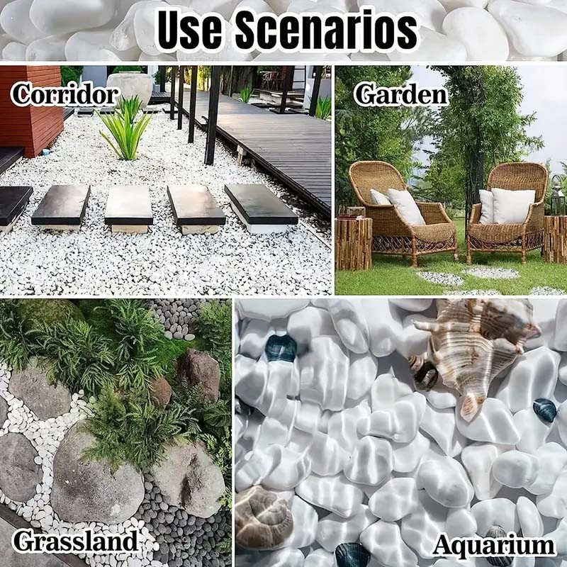 White Pebbles Decorative Stone - Echeveria Succulent ulasan dan harga