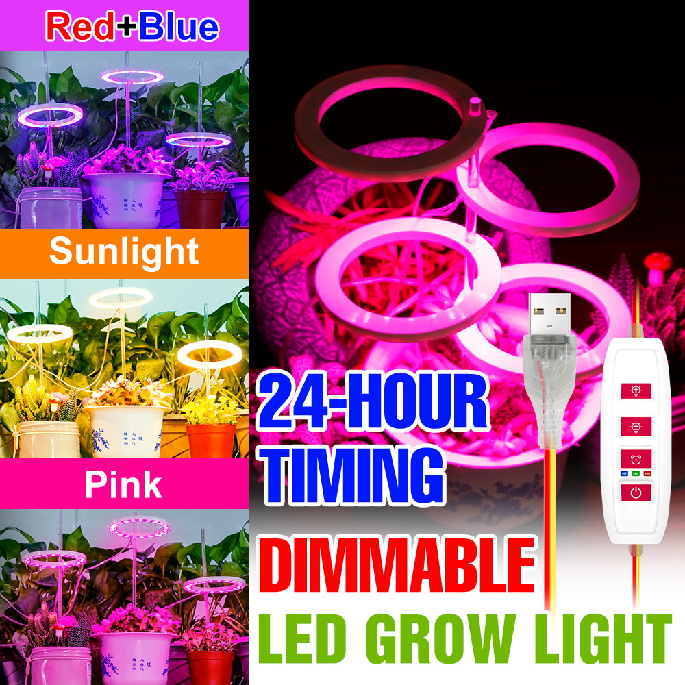 Indoor Full Spectrum Grow Ligh - Echeveria Succulent ulasan dan harga