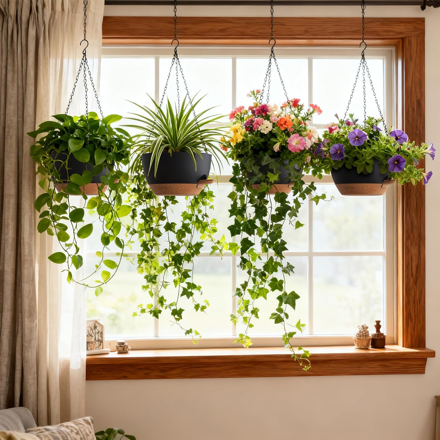 Self Watering Hanging Planters - Spider Plant Hanging ulasan dan harga