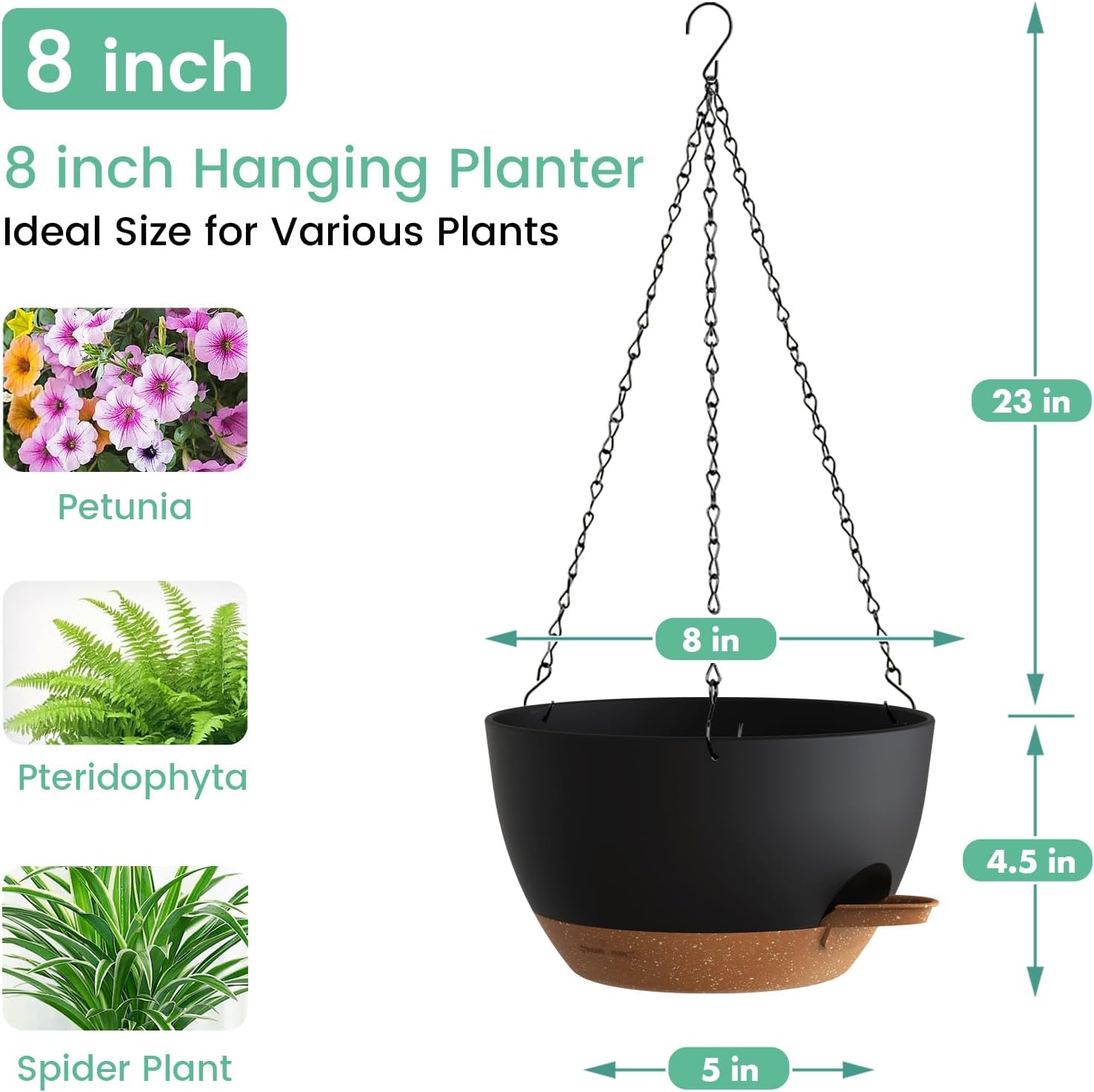 Self Watering Hanging Planters - Spider Plant Hanging ulasan dan harga