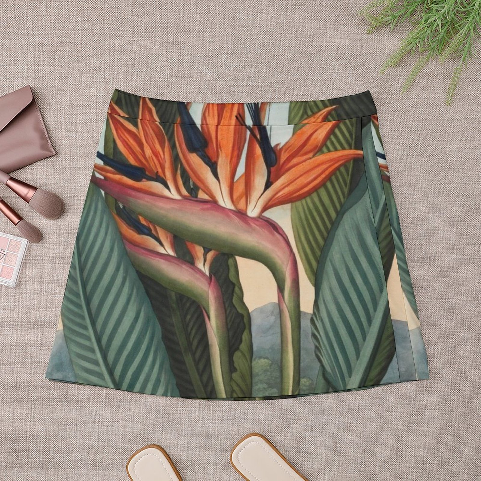 Botanical illustration: Bird o - Bird Paradise Strelitzia ulasan dan harga