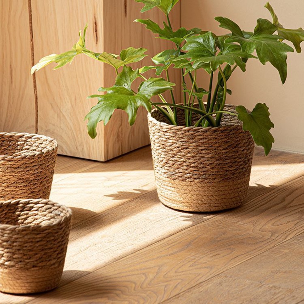 Straw Weaving Flower Plant Pot - Aloe Vera Pot ulasan dan harga