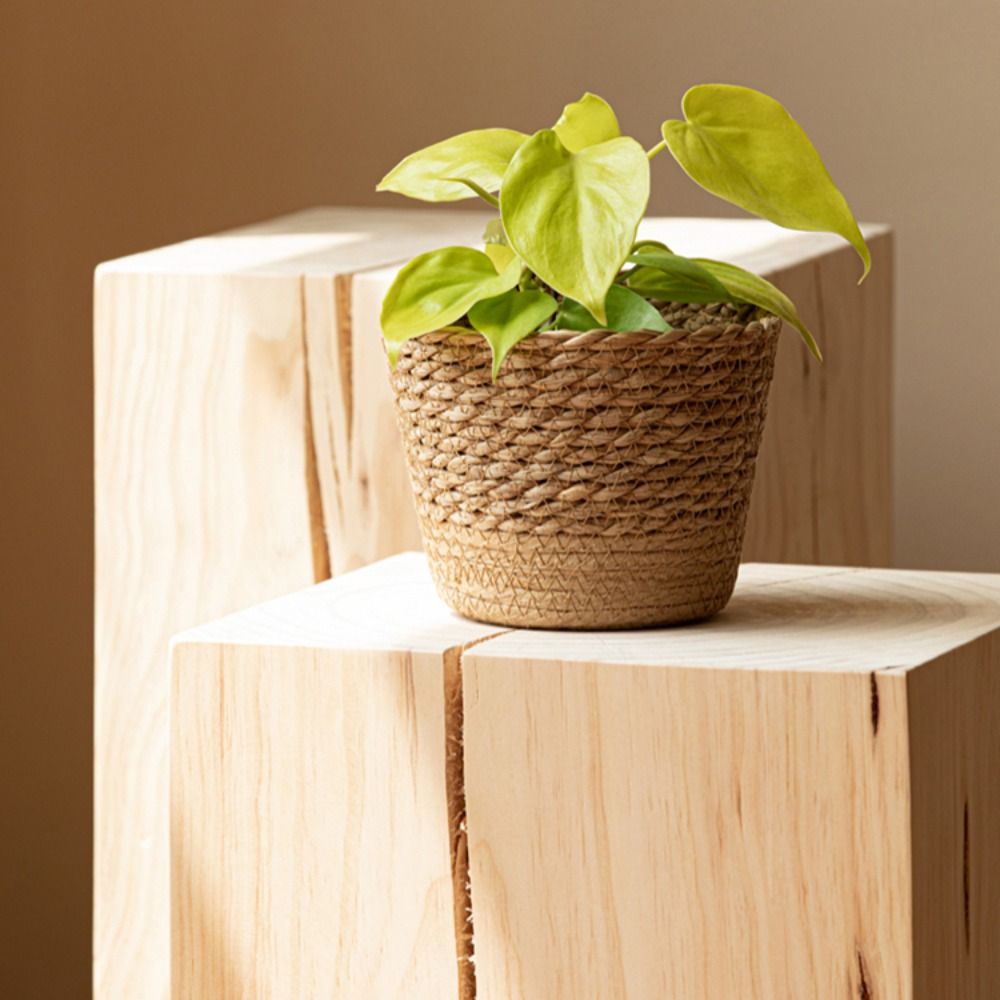 Straw Weaving Flower Plant Pot - Aloe Vera Pot ulasan dan harga