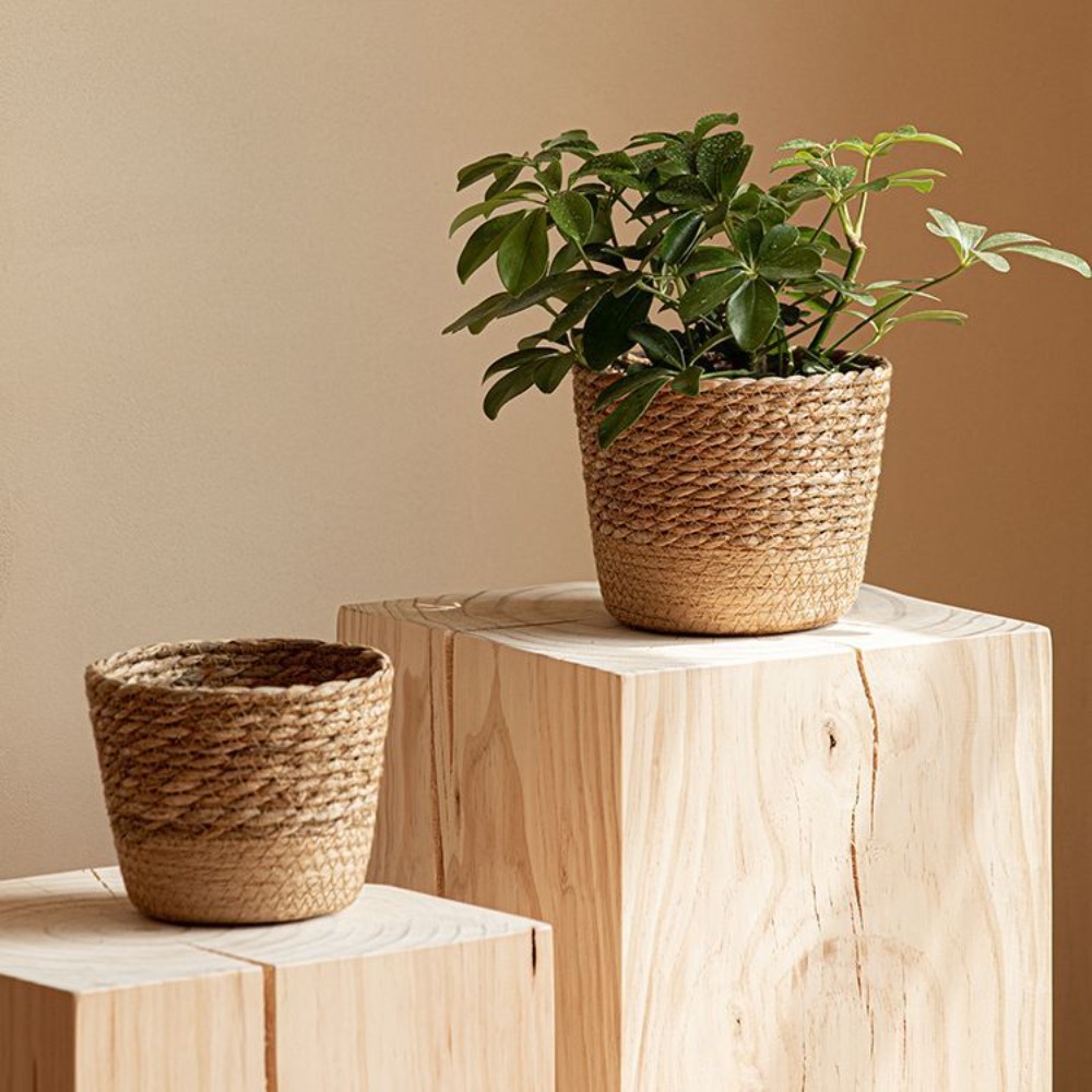 Straw Weaving Flower Plant Pot - Aloe Vera Pot ulasan dan harga