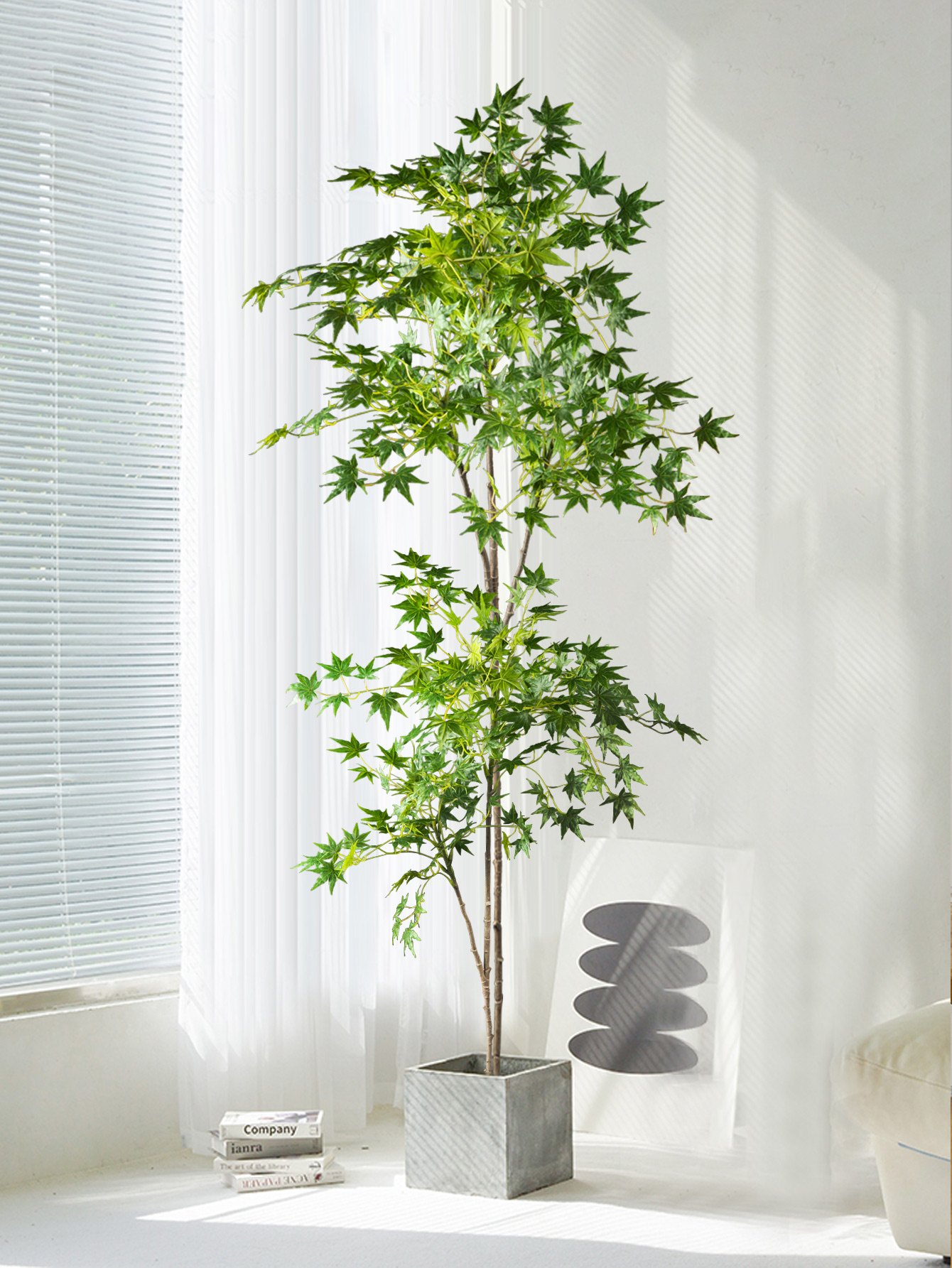 70-140cm Artificial Maple Tree - Dracaena Marginata ulasan dan harga