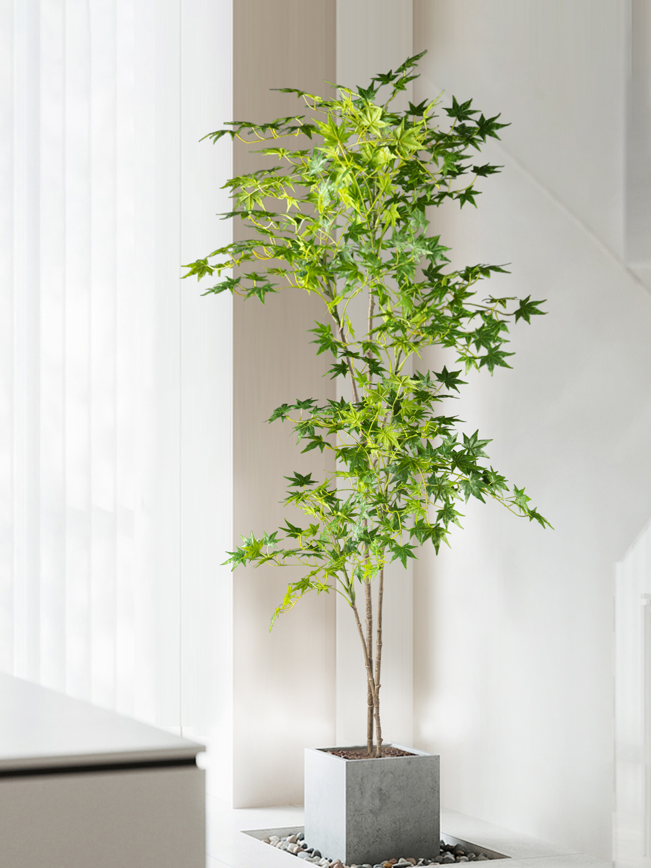 70-140cm Artificial Maple Tree - Dracaena Marginata ulasan dan harga