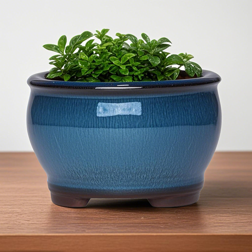 Ceramic Garden Planter Pots Ce - Aloe Vera Pot ulasan dan harga