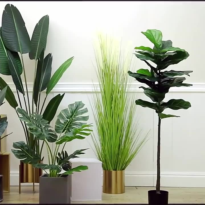 Simulation Palm Tree Artificia - Ficus Lyrata Tree ulasan dan harga