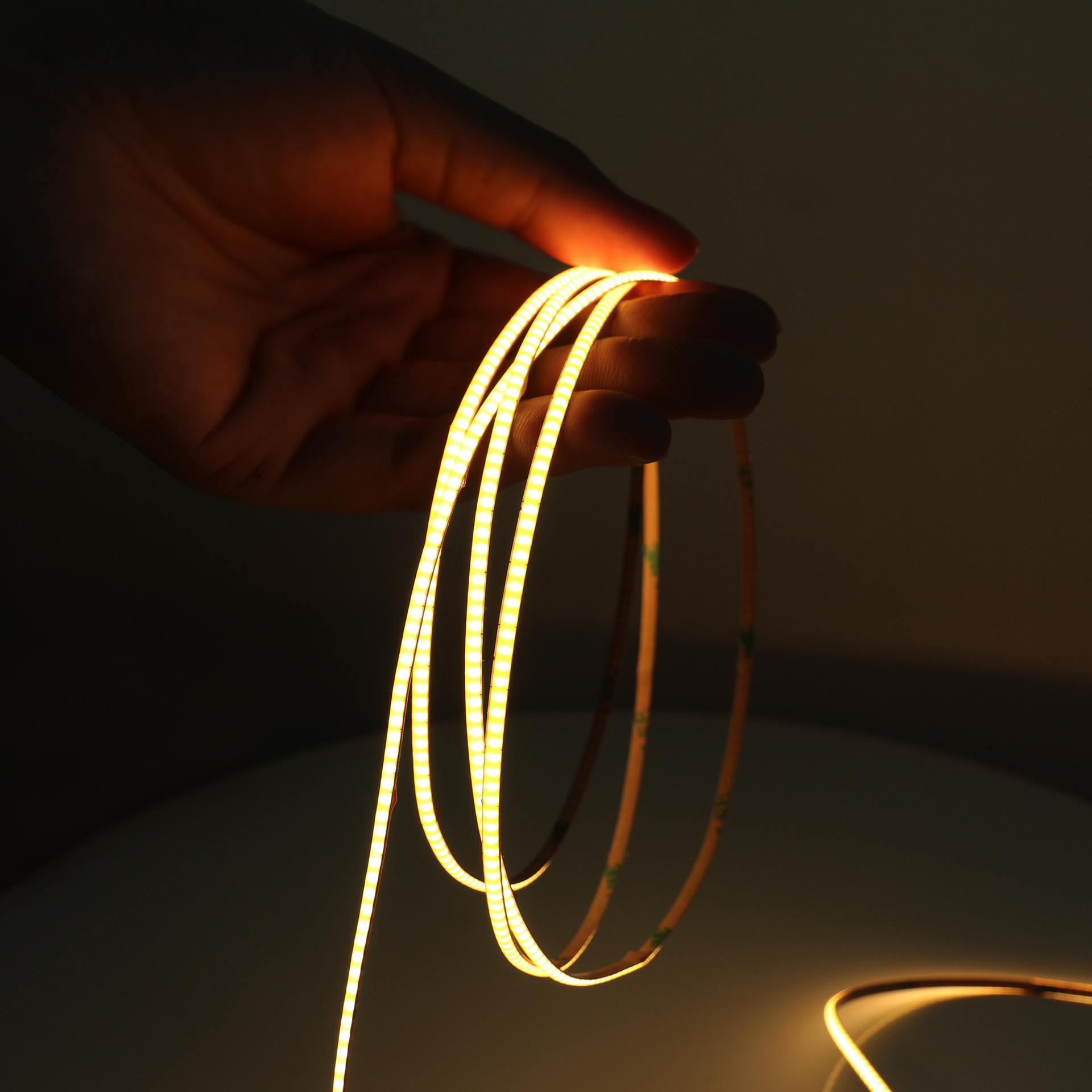 3mm 4mm 5mm Thin Slim COB Led  - Aglaonema Red ulasan dan harga
