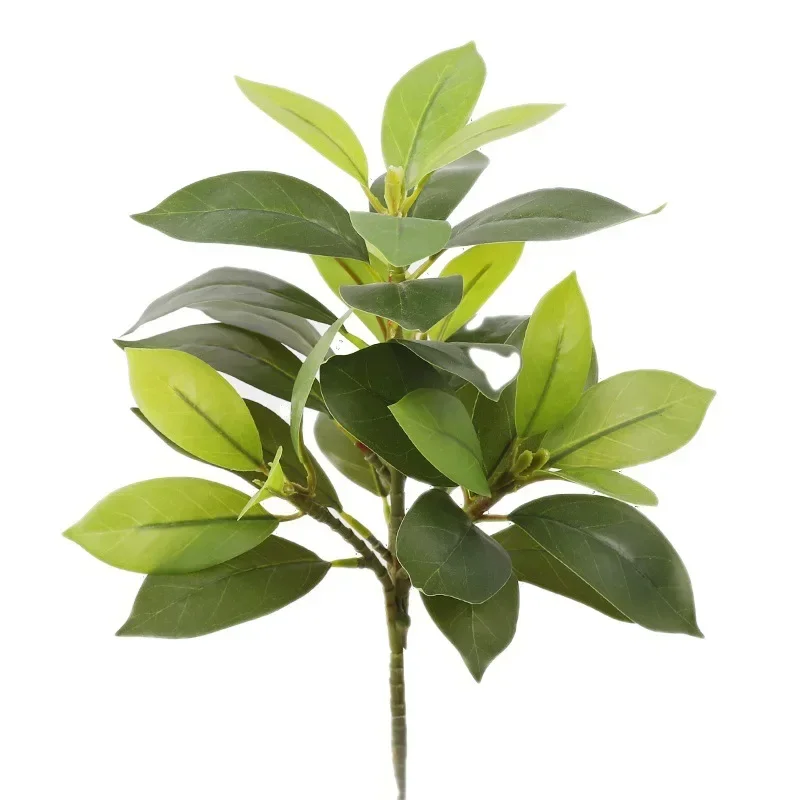 Plastic Artificial Color-chang - Dracaena Marginata ulasan dan harga