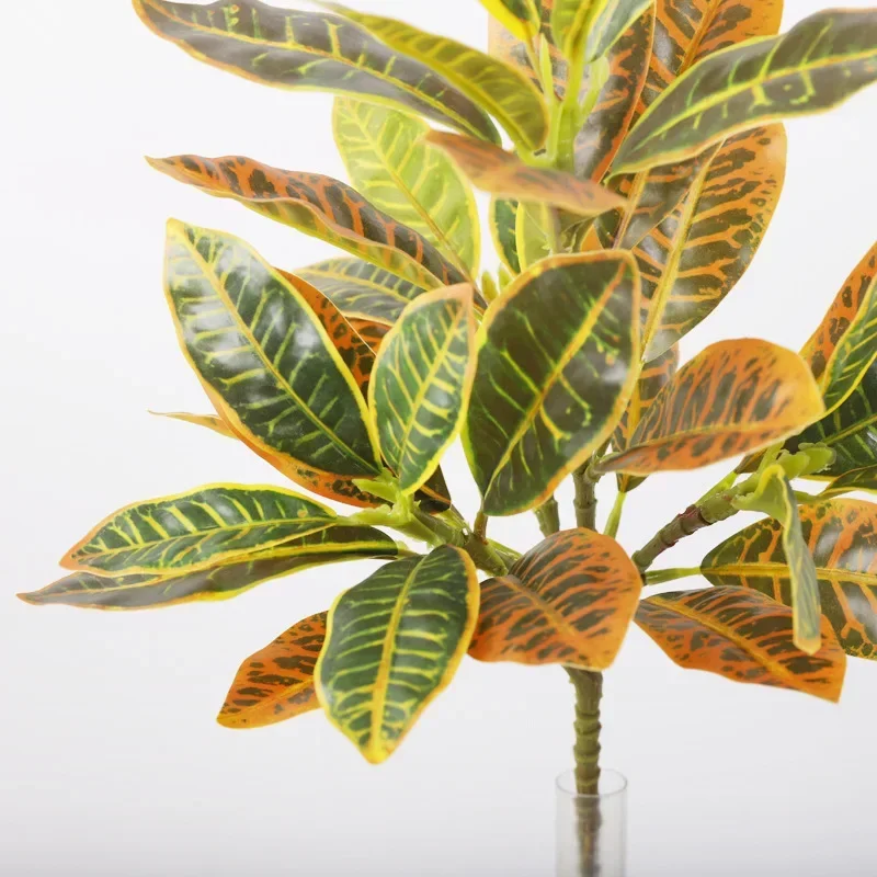 Plastic Artificial Color-chang - Dracaena Marginata ulasan dan harga