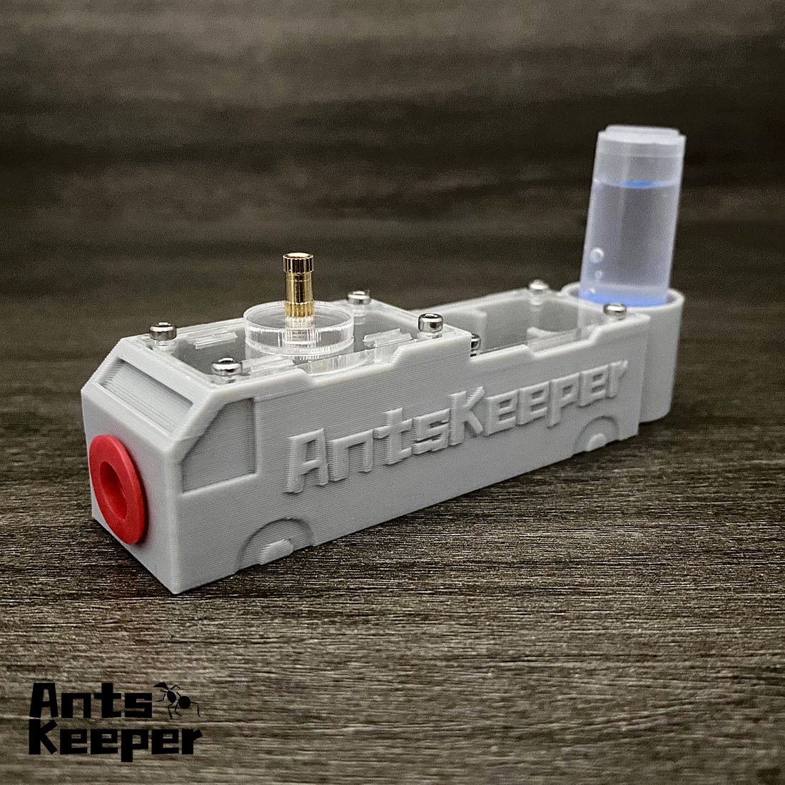 【Truck】Ant Farm for Ants keepe - Begonia Rex ulasan dan harga