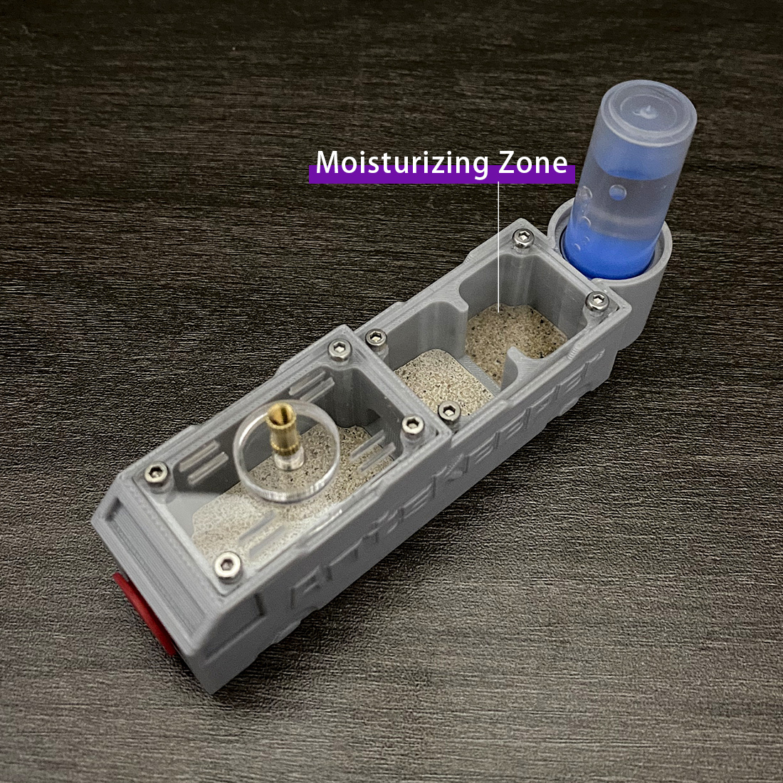 【Truck】Ant Farm for Ants keepe - Begonia Rex ulasan dan harga