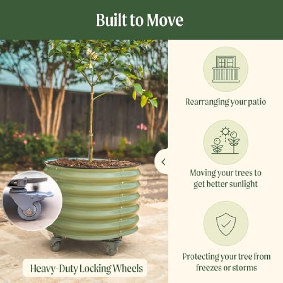 Self-Watering Rolling Metal Ci - Aloe Vera Pot ulasan dan harga