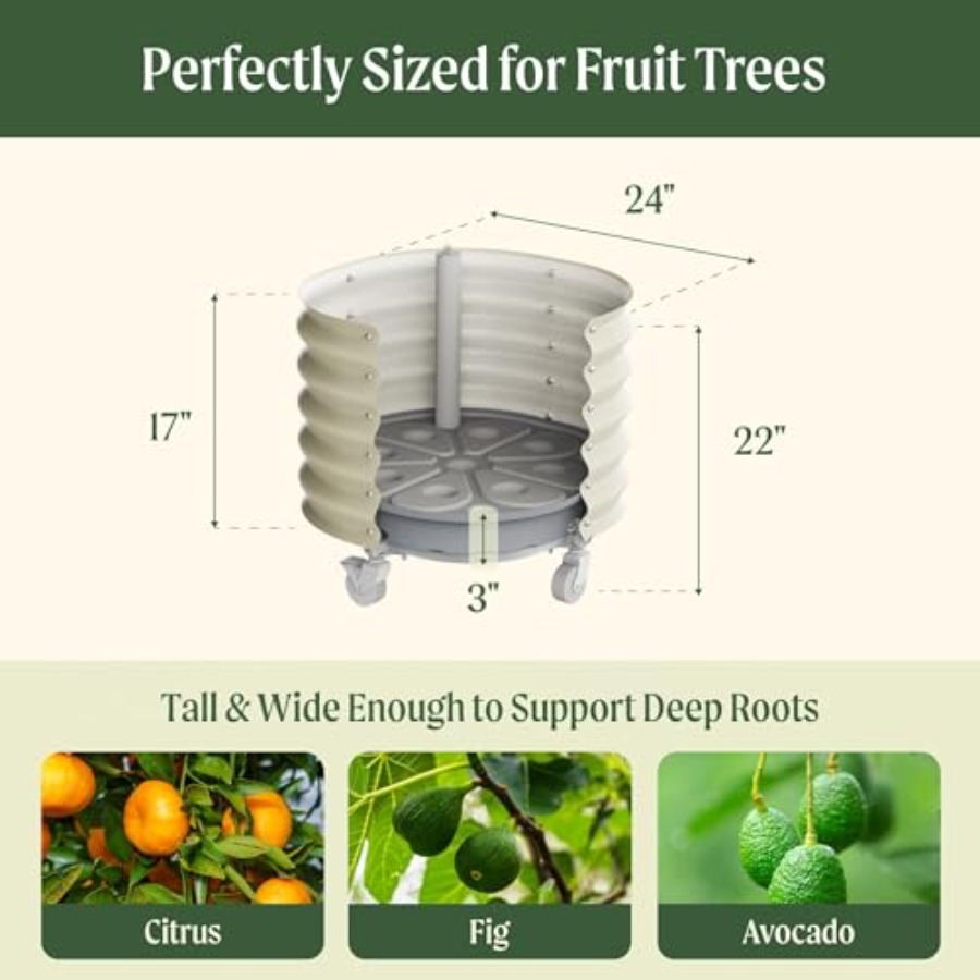 Self-Watering Rolling Metal Ci - Aloe Vera Pot ulasan dan harga