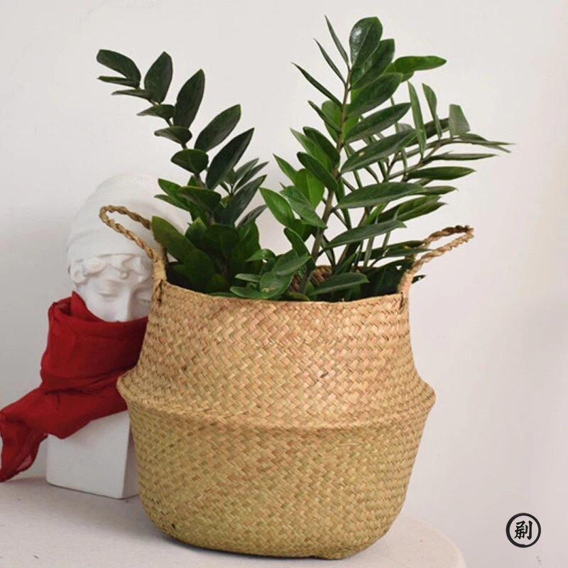 Wicker Basket Toy Organizer Fo - Aloe Vera Pot ulasan dan harga