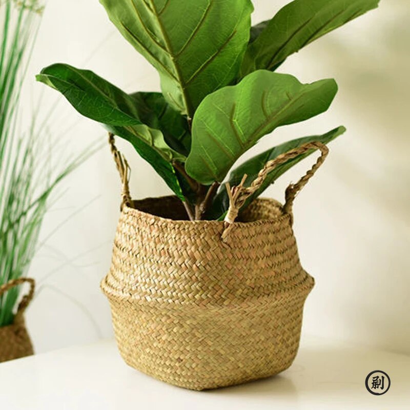 Wicker Basket Toy Organizer Fo - Aloe Vera Pot ulasan dan harga