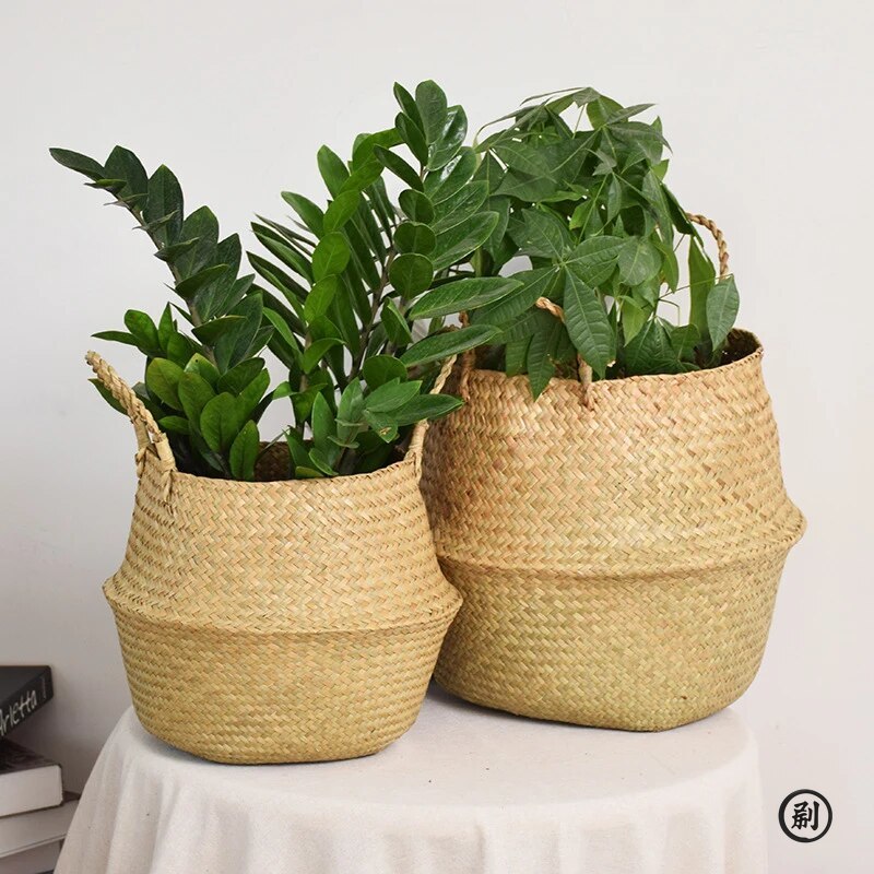 Wicker Basket Toy Organizer Fo - Aloe Vera Pot ulasan dan harga